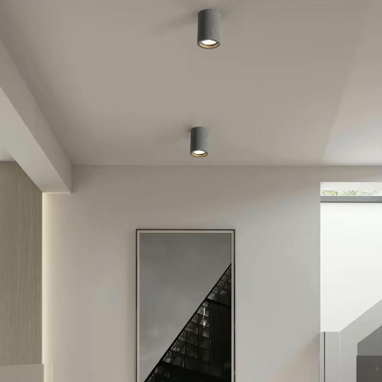 Elegant Home Ceiling Light Fixture