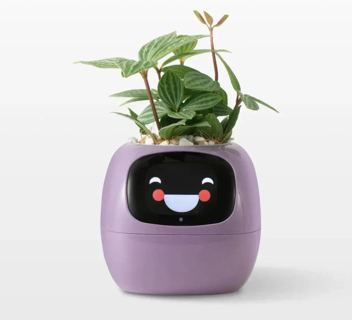 Intelligent Self Watering Planter With AI Technology