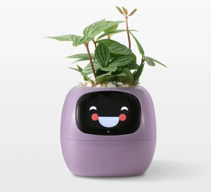 Intelligent Self Watering Planter With AI Technology