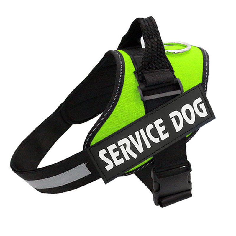 Comfortable Dog Harness - Adjustable Leash Helper
