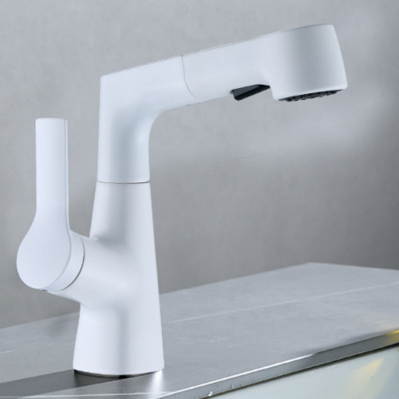 Stainless Steel Single Handle Kitchen Faucet