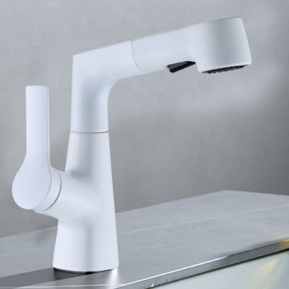 Stainless Steel Single Handle Kitchen Faucet