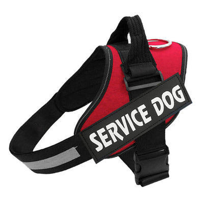 Comfortable Dog Harness - Adjustable Leash Helper