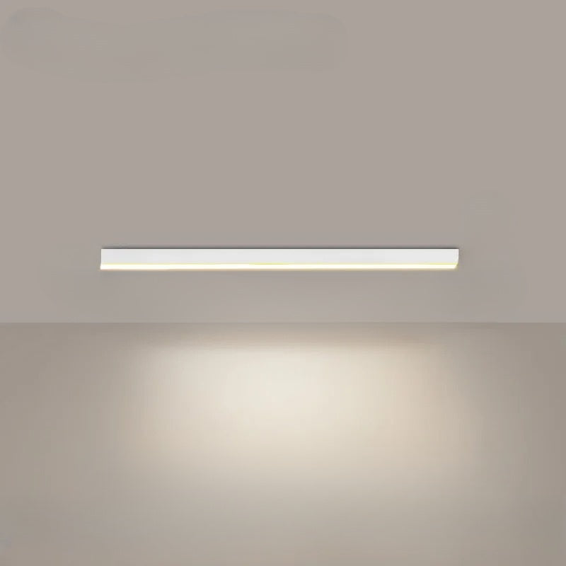 Simple Sleek LED Outdoor Ceiling Lamp