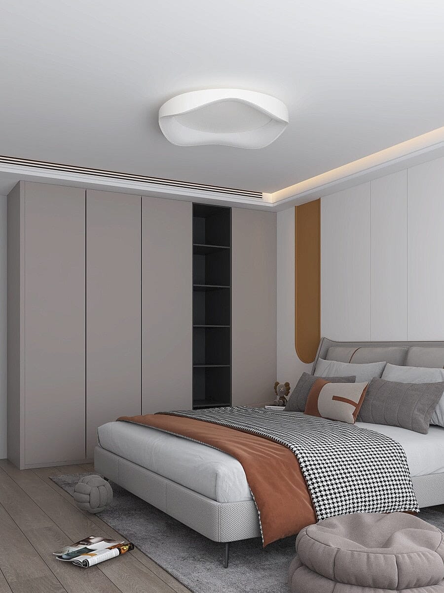 Modern LED Ceiling Wall Light