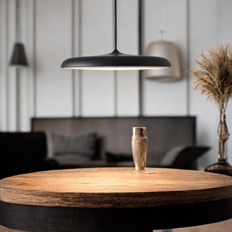 Simple White LED Hanging Light 30cm Ceiling Lamp