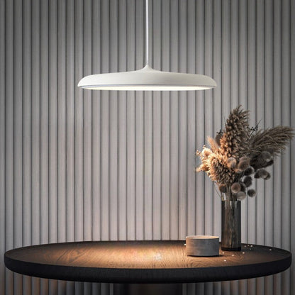 Sleek Contemporary LED Hanging Light Ceiling Lamp