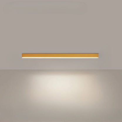 Simple Sleek LED Outdoor Ceiling Lamp
