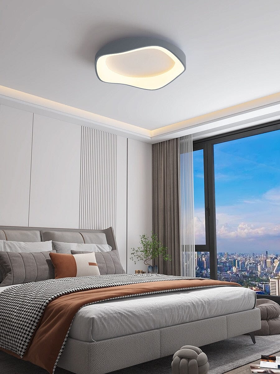 Modern LED Ceiling Wall Light