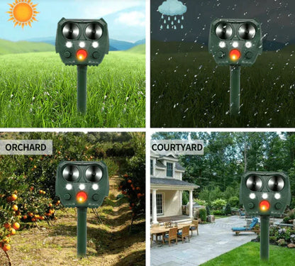 Motion Activated Outdoor Pest Repellent With LED Lights