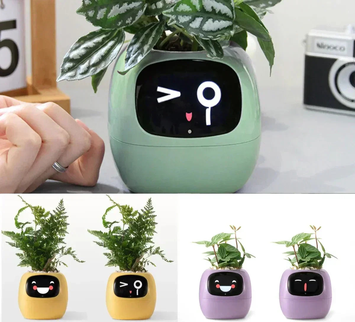 Intelligent Self Watering Planter With AI Technology - Lusomart