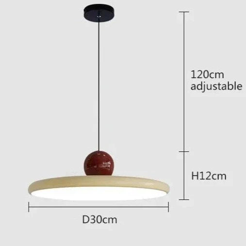 Elegant Hanging Pendant Light Fixture