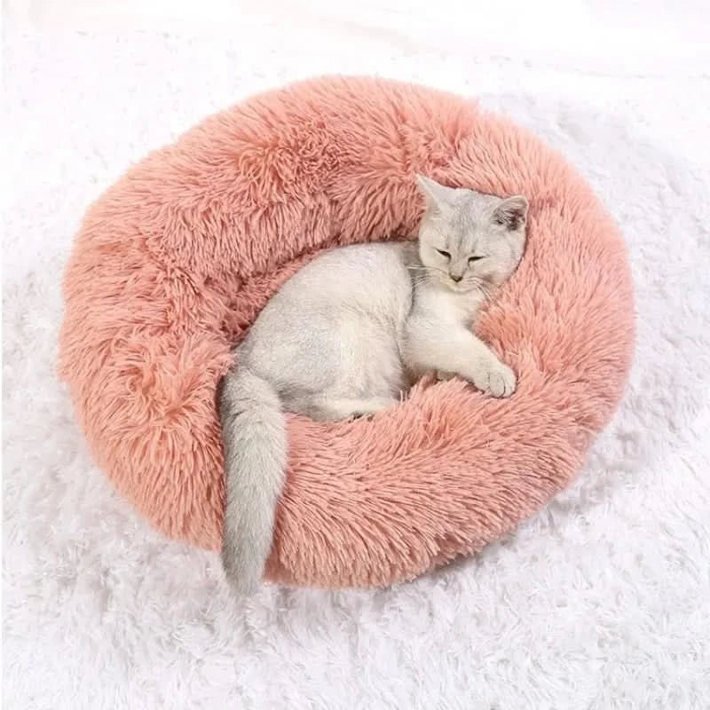 SerenityNest | Cozy Plush Raised Dog Bed for Ultimate Comfort and Relaxation 2