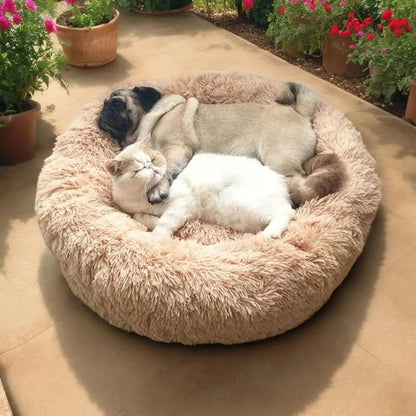 SerenityNest | Cozy Plush Raised Dog Bed for Ultimate Comfort and Relaxation 3
