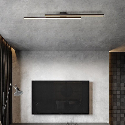 Elegant Overhead Ceiling Light