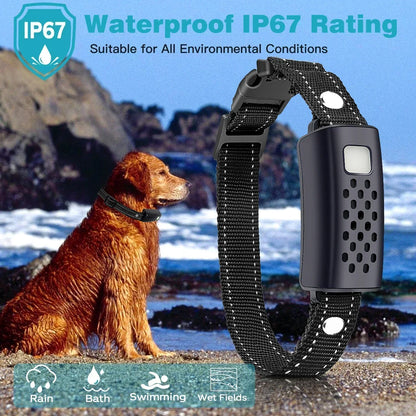 SafeWalk Dog Collar With Double LED Lights