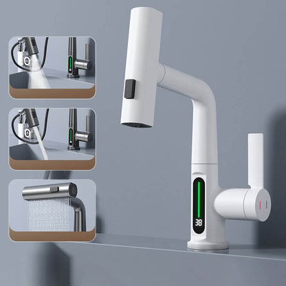 Flexible Kitchen Faucet With Long Extendable Hose