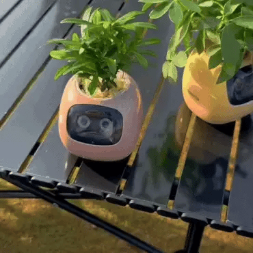 Intelligent Self Watering Indoor Planter With Sensors