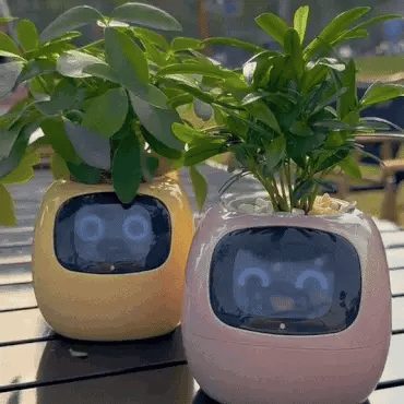 Intelligent Self Watering Indoor Planter With Sensors