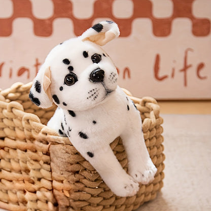 Cuddly Teddy Bear Toy for Kids - Lusomart