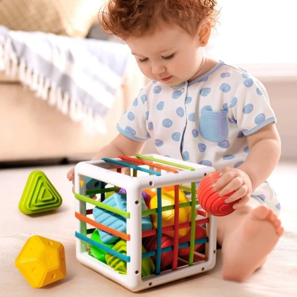 Shape Sorting Toy for Kids with Colorful Blocks – Lusomart