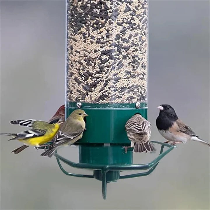 Wildlife Safe Bird Feeder with Strong Metal Cage - Lusomart
