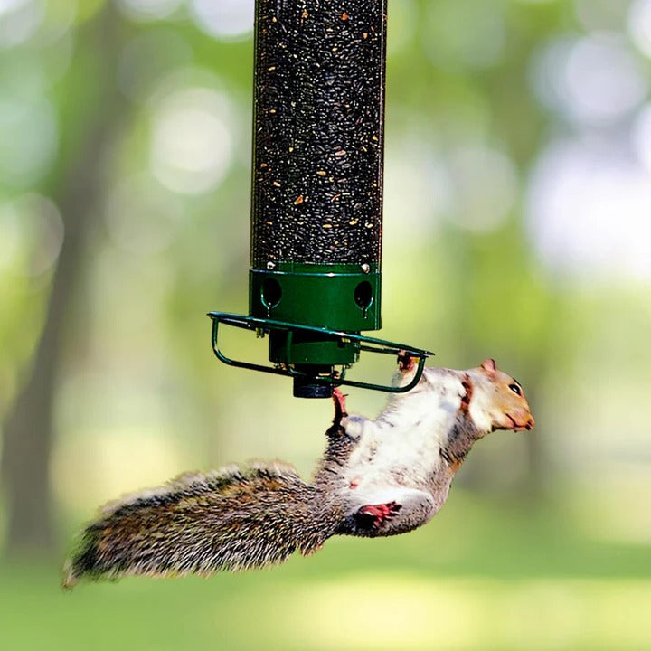 Squirrel Proof Bird Feeder with Durable Metal Cage Design – Large Capacity, Easy to Maintain, 4 Feeding Ports 1