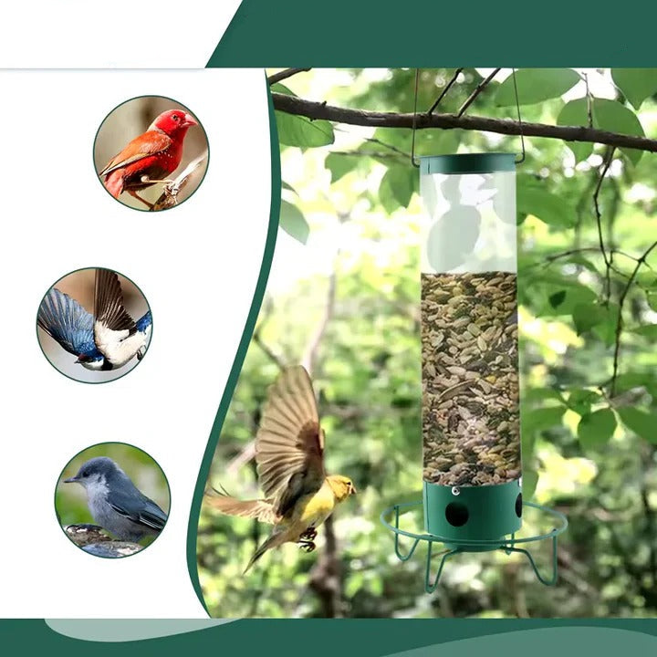 Squirrel Proof Bird Feeder with Durable Metal Cage Design – Large Capacity, Easy to Maintain, 4 Feeding Ports 2