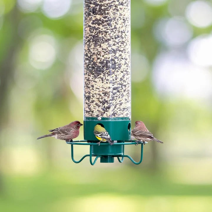 Squirrel Proof Bird Feeder with Durable Metal Cage Design – Large Capacity, Easy to Maintain, 4 Feeding Ports 5