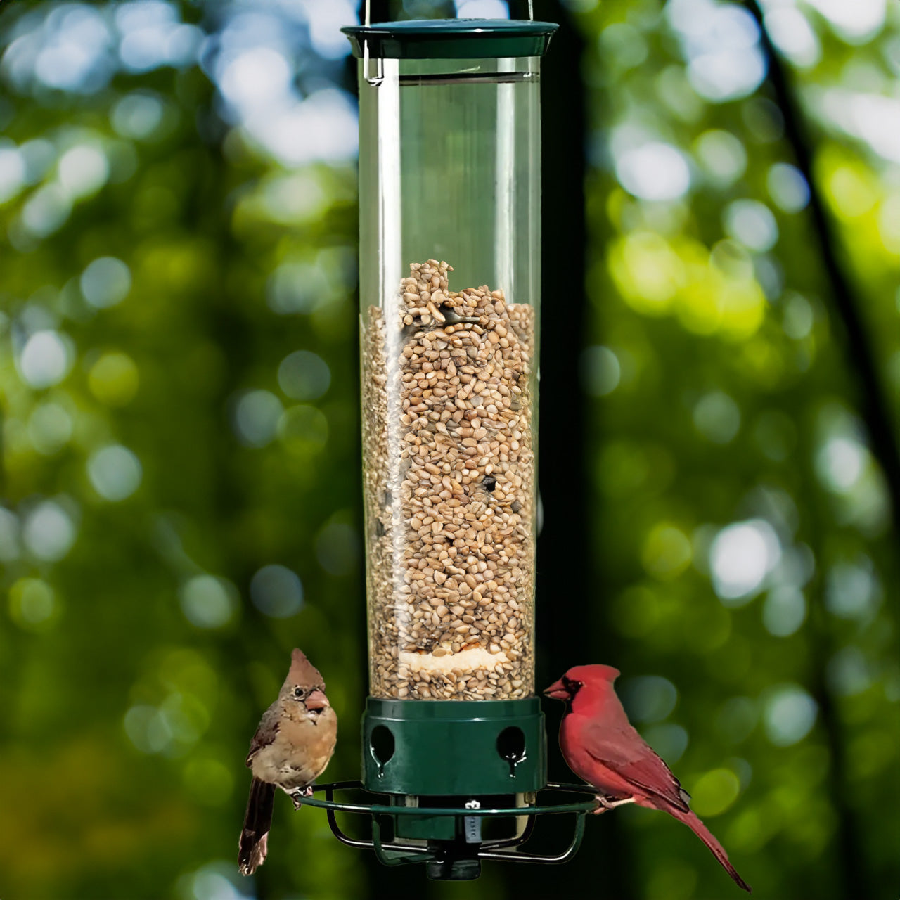 Premium Squirrel-Resistant Bird Feeder with Adjustable Perch - Lusomart