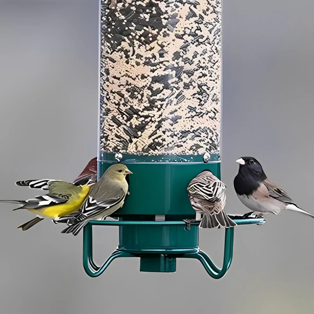 Squirrel Proof Bird Feeder with Weight-Activated Perch – Durable Metal Construction for Backyard Birds 1
