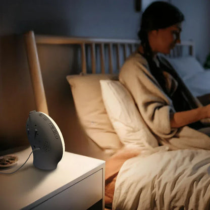 Wake Up Light Alarm Clock with Gentle Sound