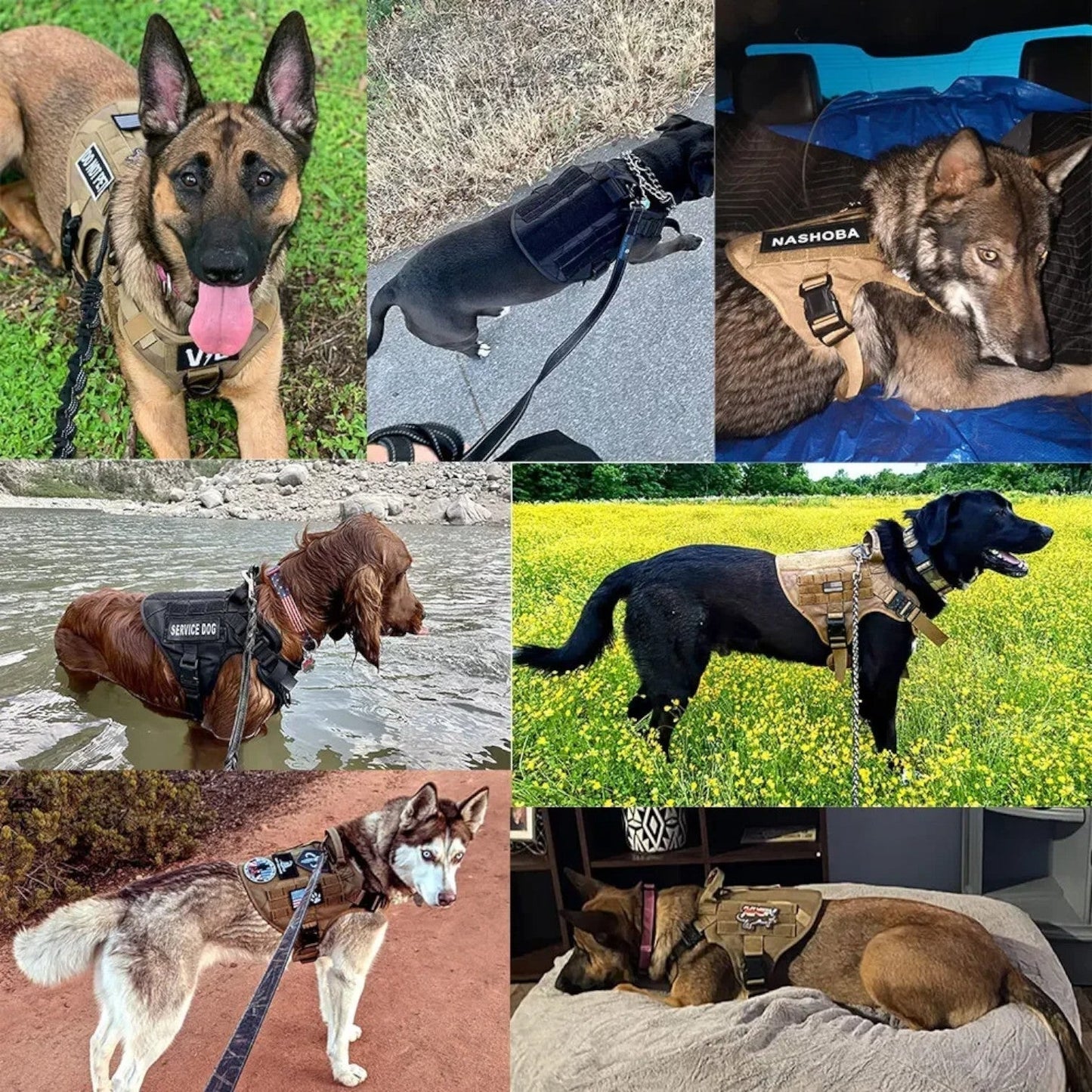 Tactical Dog Harness with Handle, Adjustable Fit and Reflective Details for Training and Safety 5
