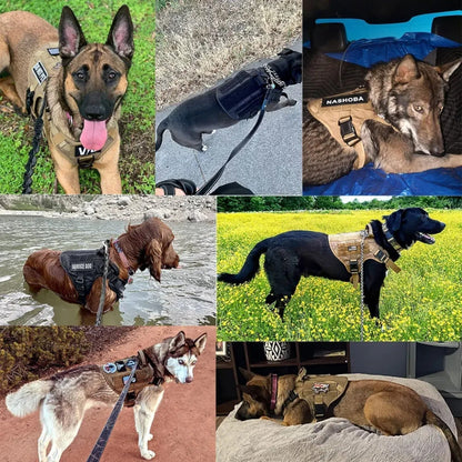 Tactical Dog Harness with Handle, Adjustable Fit and Reflective Details for Training and Safety 5