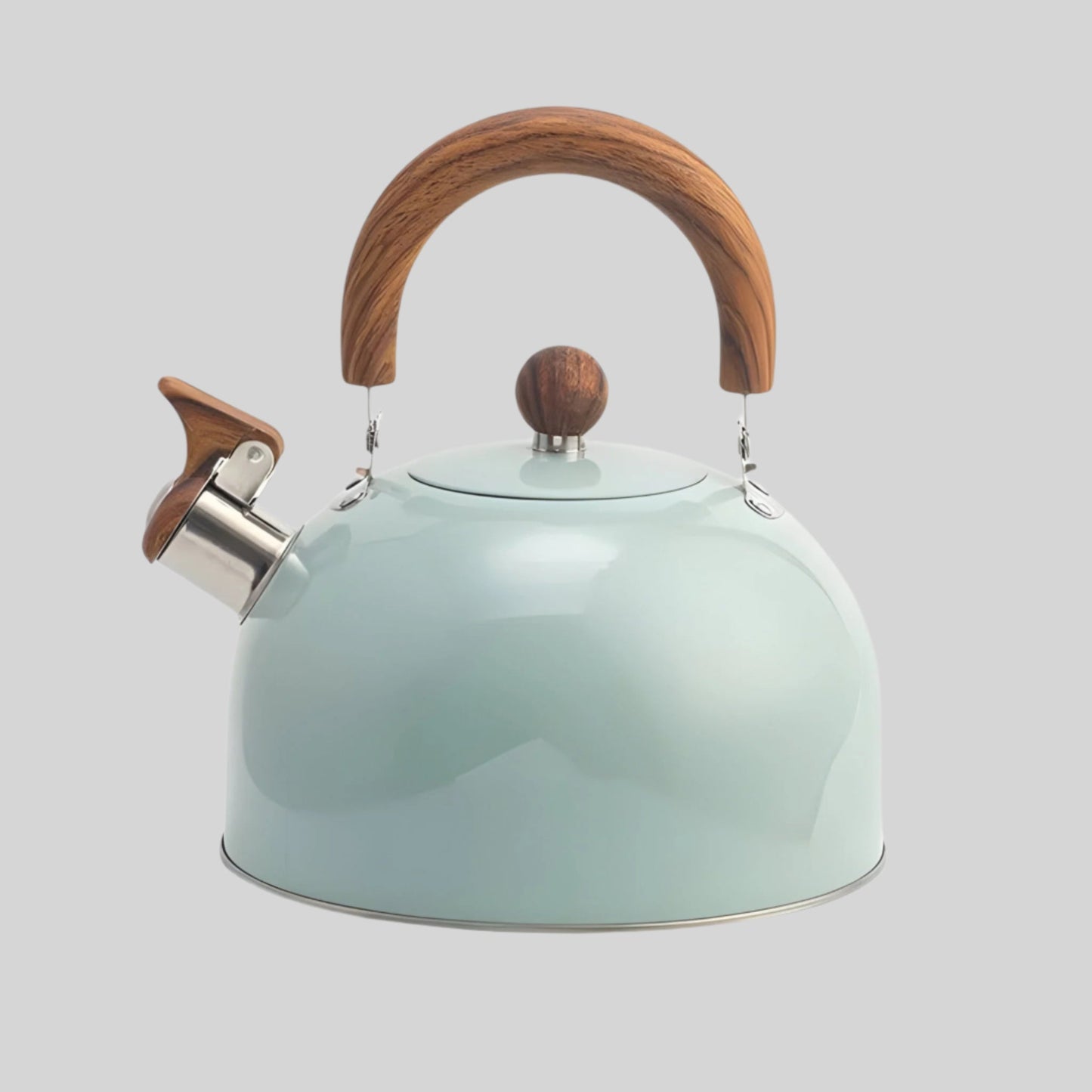 Classic Metal Whistling Tea Kettle with Wood Grip