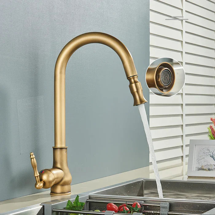 Classic Gold Finish Kitchen Faucet