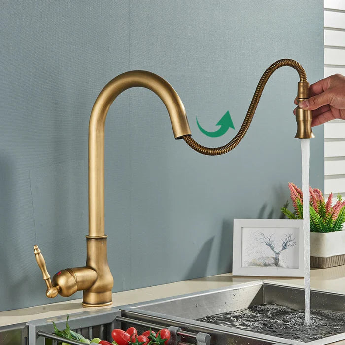 Classic Gold Finish Kitchen Faucet