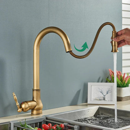 Classic Gold Finish Kitchen Faucet