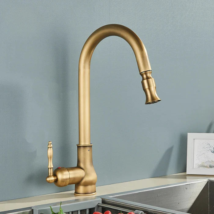 Classic Gold Finish Kitchen Faucet