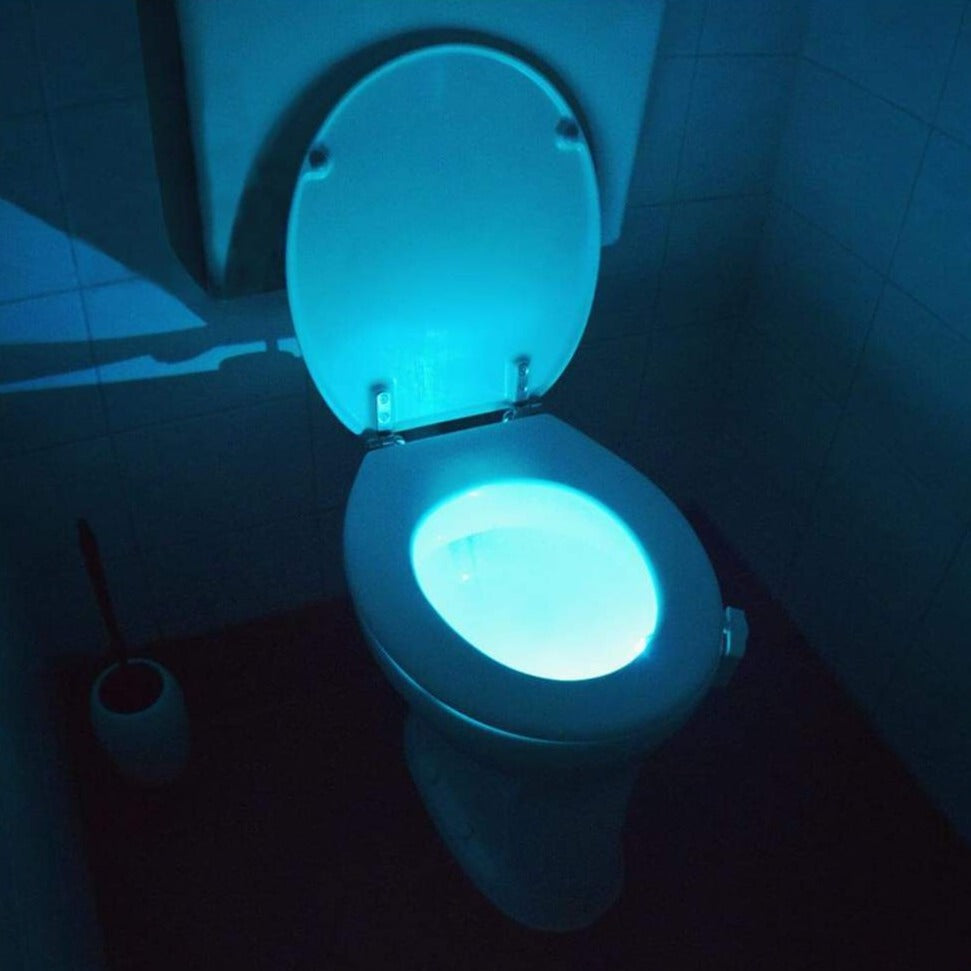 Automatic LED Toilet Nightlight Glow Bowl