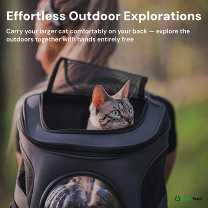 Comfortable, Spacious Cat Hiking Backpack For Outdoor Adventure