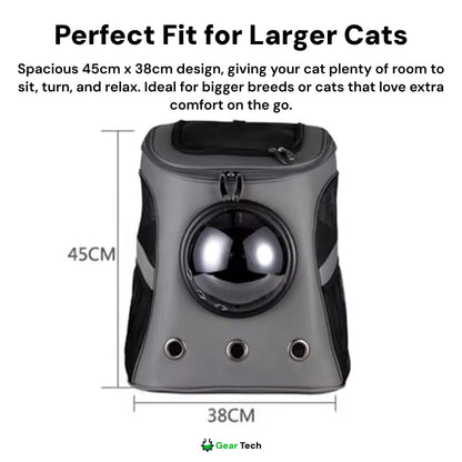 Comfortable, Spacious Cat Hiking Backpack For Outdoor Adventure