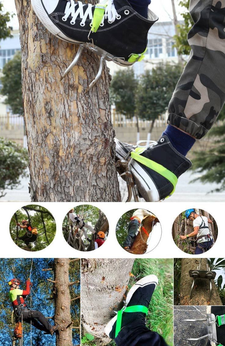 Durable Steel Tree Climbing Gear And Safety Harness
