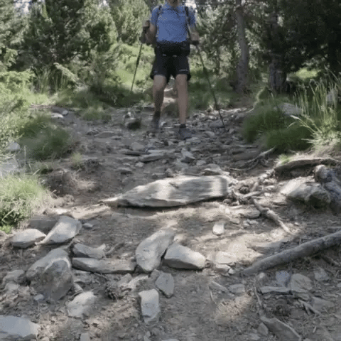 Lightweight Collapsible Hiking Poles With Quick Lock