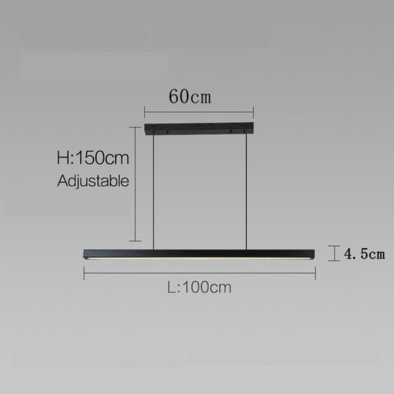 Sleek Black Modern Ceiling Light