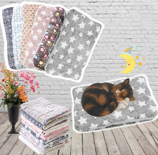 Cozy Plush Cat Throw Blanket - Lusomart