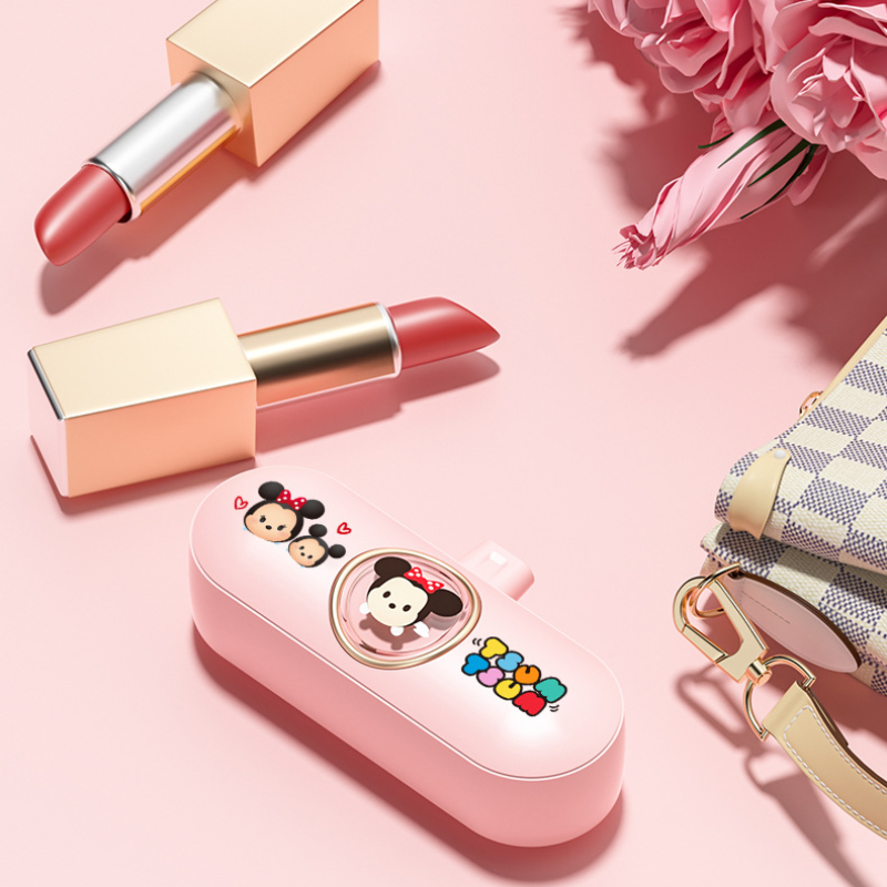Portable Travel Charger