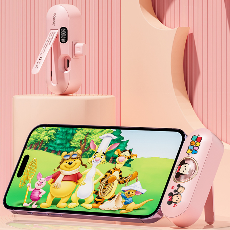 Portable Travel Charger