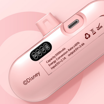 Portable Travel Charger