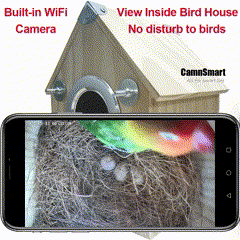 Wildlife Birdhouse Camera Feeder with Night Vision